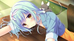  1girl 1other arm_pillow baby_animal blue_hair blue_jacket bow_hairband cat chair closed_mouth cropped_jacket da_capo da_capo_iv dress from_above game_asset hairband highres hinohara_chiyoko indoors jacket kitten long_hair looking_at_viewer non-web_source on_chair orange_dress outstretched_arms self-datamine short_sleeves sitting spread_arms table tanihara_natsuki yellow_eyes 