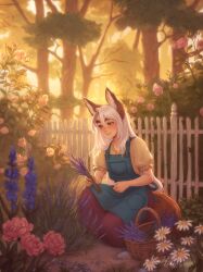  1girl absurdres animal_ears apron blue_apron blue_eyes blush daisy_(flower) evening fence flower forest fox_ears fox_girl fox_tail heterochromia highres kneeling lavender_(flower) lips long_hair long_skirt losse_(personal_ami) nature nose original outdoors personal_ami picket_fence picking_flowers pink_flower puffy_short_sleeves puffy_sleeves red_skirt shirt short_sleeves skirt smile solo sunset tail tree white_flower white_hair wooden_fence yellow_eyes yellow_shirt 
