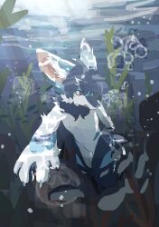  1boy absurdres animal_ears blue_eyes blue_fur blue_hair bubble fang fish furry furry_male highres large_ears male_focus ndfrskr open_mouth original seaweed solo submerged swimming underwater white_fur 