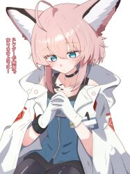  1girl ahoge animal_ear_fluff animal_ears arknights black_choker black_pantyhose blue_eyes blue_jacket blush choker coat collarbone commentary_request cowboy_shot cross flat_chest gloves hair_between_eyes highres hood hood_down hooded_coat huge_ahoge jacket long_sleeves looking_down material_growth medium_hair oripathy_lesion_(arknights) own_hands_clasped own_hands_together pantyhose pink_hair red_cross sidelocks simple_background sitting sleeveless sleeveless_jacket solo sussurro_(arknights) tesura_(teslamk2) white_background white_coat white_gloves wolf_ears wolf_girl 