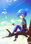  1boy absurdres blue_eyes blue_hair blush_stickers bug day expressionless eyebrows_visible_through_hair heterochromia highres ladybug looking_at_viewer outdoors puyopuyo red_eyes s2offbeat short_hair short_sleeves sig_(puyopuyo) sitting solo tree 