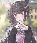  1girl animal_ears arutoria_(187497382) black_choker black_hair black_jacket blue_archive blurry blurry_background blush cat_ears choker colored_inner_hair extra_ears falling_petals halo highres jacket kazusa_(blue_archive) looking_at_viewer multicolored_hair neckerchief outdoors own_hands_together petals pink_eyes pink_hair pink_neckerchief school_uniform serafuku smile solo two-tone_hair upper_body viewfinder 