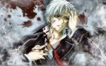  blood grey_hair kiryu_zero vampire_knight zero 