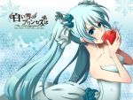  apple aqua_eyes aqua_hair hatsune_miku snowflake vocaloid 