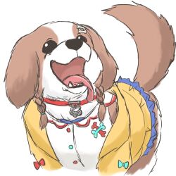  1girl animal animal_collar animal_ears animalization blue_bow bone_hair_ornament bow braid buttons clothed_animal collar commentary dog dog_ears dog_tail dress frilled_jacket frills hair_ornament hololive inugami_korone inugami_korone_(1st_costume) jacket paw_print red_bow red_collar tail tongue tongue_out twin_braids untranslatable_commentary white_dress yellow_jacket yuuji_(sdcg00) 