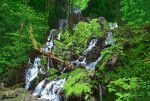  day forest landscape nature no_humans original outdoors scenery signature suupii tree water waterfall 
