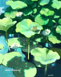  afloat artist_name flower frog green_theme lily_pad lotus nadia_kim nature no_humans open_mouth original outdoors pond scenery water water_lily_flower 