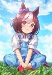  1girl animal_ears bangs blue_sky blurry blurry_foreground blush bow braid brown_hair chakuma_(yiyh1468) closed_mouth clouds cloudy_sky collared_shirt commentary_request day depth_of_field dress_shirt ear_bow eyebrows_visible_through_hair full_body hair_between_eyes hair_ribbon highres horse_ears horse_girl horse_tail looking_at_viewer multicolored_hair on_grass outdoors overalls purple_bow purple_ribbon red_footwear ribbon shirt shoes short_sleeves signature sitting sky smile solo special_week_(umamusume) tail two-tone_hair umamusume violet_eyes white_hair white_shirt younger 