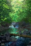  day forest log nature no_humans original outdoors river scenery signature suupii tree 