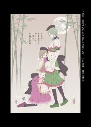  2girls absurdres apron back_bow bamboo bamboo_forest black_hat black_socks bow brown_bow brown_hair closed_mouth commentary_request dress forest full_moon glaring green_dress green_hair green_shoes hat highres hug kneehighs long_hair looking_at_viewer moon multiple_girls nature night nishida_satono outdoors pink_dress possessive puffy_short_sleeves puffy_sleeves purple_shoes shoes short_hair_with_long_locks short_sleeves socks tate_eboshi teireida_mai touhou translation_request waist_apron yamada_satoshi yuri 