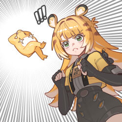  ! !! 1girl absurdres animal_ears black_gloves black_shorts blonde_hair commentary fingerless_gloves frog gloves green_eyes highres jacket ju_fufu long_hair looking_at_animal open_clothes open_jacket short_shorts shorts tian_luo_bo untranslatable_commentary yellow_jacket zenless_zone_zero 