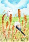  animal animal_focus artist_name bird clouds commentary_request grass highres looking_at_another no_humans original plant sinsousui sky 