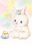  :3 animal animal_focus bird blue_eyes chibi chibi_on_head closed_eyes closed_mouth commentary_request ears_up friends highres looking_at_another multicolored_background no_humans on_head original painting_(medium) rabbit simple_background sinsousui sitting traditional_media watercolor_(medium) white_background 