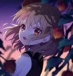  1girl bangs blonde_hair blurry blurry_foreground eyebrows_visible_through_hair gradient_sky looking_at_viewer multicolored_sky open_mouth plant red_eyes rumia short_hair sky solo teeth touhou touya_(konpekitou) upper_body 