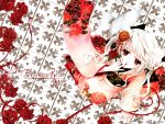   animal_ears flower japanese_clothes kimono red_eyes rose tail white_hair  