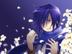  blue_eyes blue_hair caffein flower kaito male purple_eyes purple_hair scarf short_hair solo vocaloid wallpaper 
