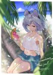  1girl ahoge alternate_costume animal_ears armpit_peek bare_shoulders beach blurry commission cup day depth_of_field feet_out_of_frame fisheye grey_hair highres holding holding_cup horizon jewelry kakedashi light_smile looking_at_viewer midriff mouse mouse_ears nazrin outdoors pendant red_eyes shorts sitting solo sunnysideup_(style) touhou tree water 
