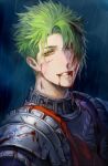 1boy achilles_(fate) armor blood blood_on_clothes blood_on_face changye fate/apocrypha fate/grand_order fate_(series) green_hair hair_over_one_eye looking_at_viewer male_focus smile solo yellow_eyes 
