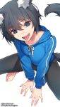  1girl animal_ears bangs black_hair blue_eyes breasts dog_ears dog_girl dog_tail eyebrows_visible_through_hair highres jjune looking_at_viewer medium_breasts original pants slit_pupils solo sweatshirt tail tongue tongue_out 