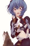  1girl animal animal_ears ayanami_rei blue_hair blurry blurry_background bodysuit calico cat cat_ears cat_tail evangelion:_3.0+1.0_thrice_upon_a_time hairpods highres holding holding_animal holding_cat multicolored_bodysuit multicolored_clothes neon_genesis_evangelion open_mouth plugsuit rebuild_of_evangelion short_hair simple_background skin_tight standing tail upper_body white_background yagisawa_teru 