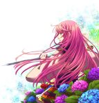  1girl bangs expressionless eyebrows_visible_through_hair flower green_eyes harukanaru_toki_no_naka_de_3 holding holding_sword holding_weapon hydrangea iochi_(kotan) japanese_clothes kasuga_nozomi leaf lips long_hair long_sleeves outdoors pink_hair solo sword upper_body weapon wide_sleeves 