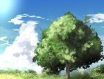  artist_name blue_sky clouds commentary_request day grass original outdoors scenery signature sky tree waisshu_(sougyokyuu) 