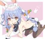  1girl animal_ear_fluff animal_ears back blue_hair braid breasts carrot hair_ornament highres hololive leotard multicolored_hair open_mouth oshimaidebu pantyhose rabbit_ears rabbit_girl rabbit_tail red_eyes sideboob solo tail thick_eyebrows tongue tongue_out twin_braids usada_pekora 