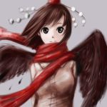  hat scarf shameimaru_aya touhou wings 
