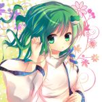  bare_shoulders detached_sleeves flower frog green_eyes green_hair hair_ornament hairclip ke-a-ru kochiya_sanae long_hair snake solo touhou 