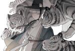  1boy animal animal_ears animal_focus artist_request black_headwear blue_eyes chinese_commentary commentary_request highres looking_at_viewer male_focus original solo_focus tiger white_tiger 