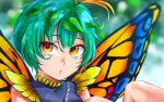  1girl absurdres antennae aqua_hair butterfly_wings croca_ing dress eternity_larva eyebrows_visible_through_hair fairy hair_between_eyes highres leaf leaf_on_head multicolored_clothes multicolored_dress parted_lips short_hair short_sleeves solo touhou wings yellow_eyes 