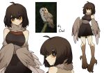  1girl ahoge bare_shoulders bird_legs black_dress black_eyes blush brown_feathers brown_hair brown_wings colored_sclera commentary dress ehfhfh_3712 feathered_wings hair_between_eyes harpy highres looking_at_viewer looking_back monster_girl multiple_views neck_ruff original personification reference_inset simple_background solo talons white_background winged_arms wings yellow_sclera 