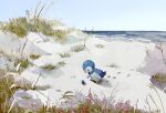  clear_sky flower footprints grass highres kamonabe_(kamonabeekon) no_humans ocean outdoors piplup pokemon pokemon_(creature) shore sky snow wide_shot 