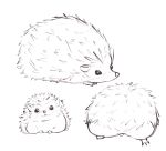 :3 animal animal_focus ass closed_mouth commentary drawing hedgehog ito_(itokayu) looking_at_viewer no_humans original simple_background spiky_hair white_background 