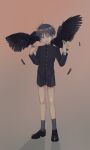  1boy absurdres bare_legs bird black_footwear black_hair child commentary_request crow feathered_wings feathers gradient gradient_background hair_between_eyes highres horror_(theme) looking_at_viewer male_focus ngron027 original short_hair shorts simple_background socks wings 