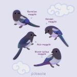  ._. animal animal_focus arrow_(symbol) artist_name beak bird closed_mouth clouds commentary english_commentary english_text from_side grey_background magpie no_humans original pikaole simple_background standing watermark 