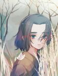  1boy black_hair blue_eyes eyebrows_visible_through_hair grass hair_over_one_eye looking_at_viewer medium_hair plant solatky solo the_legend_of_luo_xiaohei tree upper_body wuxian_(the_legend_of_luoxiaohei) younger 
