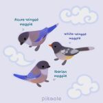  ._. animal animal_focus arrow_(symbol) artist_name beak bird closed_mouth clouds commentary english_commentary english_text from_side grey_background magpie no_humans original pikaole simple_background standing watermark 