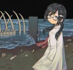 1girl beach black-framed_eyewear black_hair blue_eyes blush closed_mouth door expressionless eyebrows_visible_through_hair fossil glasses hand_in_pocket highres labcoat long_hair long_sleeves looking_at_viewer low_twintails necktie night outdoors rectangular_eyewear red_necktie rnfhv seashell shell shimeji_simulation solo starfish twintails 