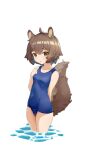  1girl absurdres animal_ears arknights bangs bare_arms bare_shoulders blue_swimsuit breasts brown_eyes brown_hair collarbone commentary_request eyebrows_visible_through_hair hair_between_eyes hand_up highres old_school_swimsuit one-piece_swimsuit qiu_bi_long school_swimsuit shaw_(arknights) simple_background small_breasts solo squirrel_ears squirrel_girl squirrel_tail swimsuit tail wading water white_background 