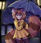  1girl ? anakoluth animal_ears blue_eyes blurry blurry_background brown_hair closed_mouth expressionless eyebrows_visible_through_hair furry furry_female holding holding_umbrella looking_at_viewer original rain raincoat red_panda_ears red_panda_girl red_panda_tail short_hair solo umbrella 