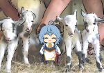  1girl :3 blue_hair bodystocking chibi closed_eyes closed_mouth facing_viewer ganyu_(genshin_impact) genshin_impact goat horns long_hair ooyun photo_background solo 