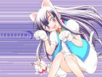  animal_ears cat_ears catgirl hazuki tail tsukuyomi_moon_phase tsukuyomi_moonphase 