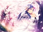  bush cherry_blossoms fate/stay_night fate_(series) hanami matou_sakura object_namesake purple_eyes purple_hair ribbon simosi solo tree wallpaper walpurgisnacht 