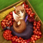  apple dress food from_above fruit grin holo pillow red_eyes red_hair redhead smile solo spice_and_wolf tail tricodelma wheat wolf_ears wolf_tail 