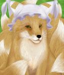  fox haro_(artist) hat oekaki touhou yakumo_ran yakumo_ran_(fox) 