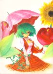  ascot colored_pencil_(media) crayon_(medium) green_hair kazami_yuuka parasol plaid plaid_skirt plaid_vest red_eyes short_hair skirt skirt_set smile smirk solo touhou umbrella vines 