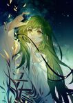  1other androgynous bangs enkidu_(fate) eyebrows_visible_through_hair fate/grand_order fate_(series) green_eyes green_hair holding instocklee long_hair long_sleeves looking_at_object night night_sky sky solo star_(sky) very_long_hair 
