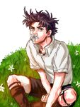  1boy battle_tendency blue_eyes brown_hair child field flower grass heoreo jojo_no_kimyou_na_bouken joseph_joestar joseph_joestar_(young) male_focus mouth_hold short_sleeves shorts sitting sock_garters solo younger 