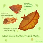  animal animal_focus antennae arrow_(symbol) artist_name brown_eyes bug butterfly closed_mouth commentary english_commentary english_text green_background leaf moth no_humans orange_eyes original pikaole simple_background standing violet_eyes watermark 